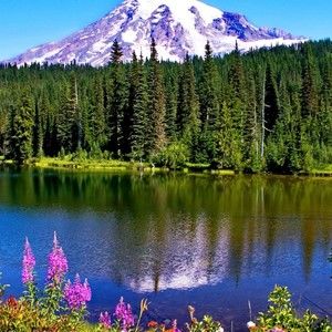 Meet your Posher, Miengconcato22